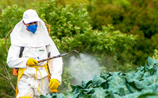 Electrostatic Agriculture Sprayer