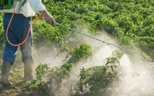 Electrostatic Agriculture Sprayer